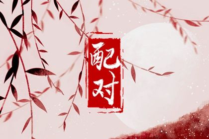 属相相合的相处画像